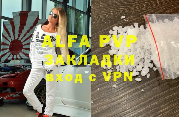 амф Верея