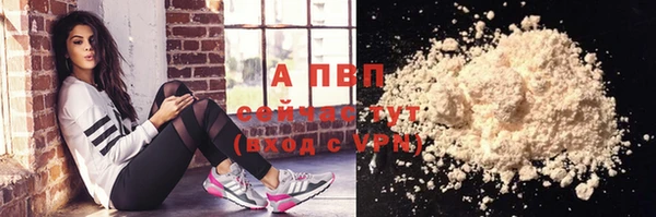 амф Верея