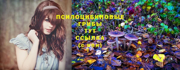 амф Верея